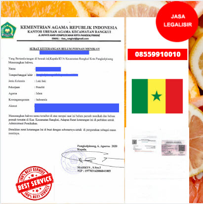 Jasa Legalisir SKBM Di Kedutaan Senegal || 08559910010