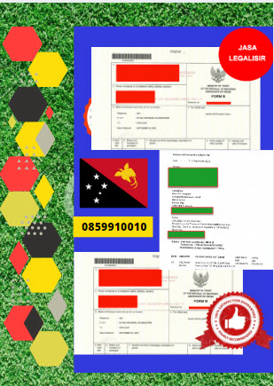 Jasa Legalisir Dokumen Perdagangan Certificate Of Origin (COO) Di Kedutaan Papua Nugini || 08559910010